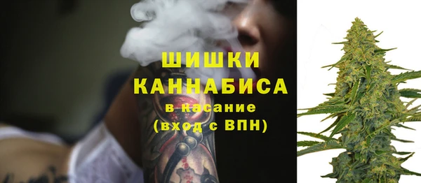 прущие грибы Бугульма