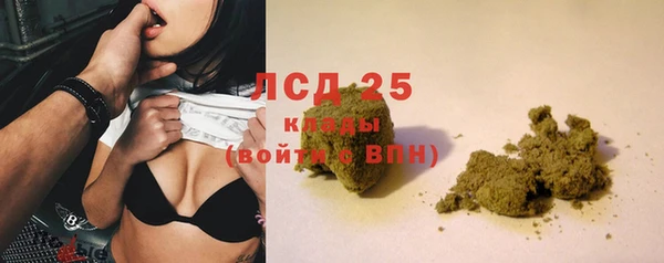 прущие грибы Бугульма