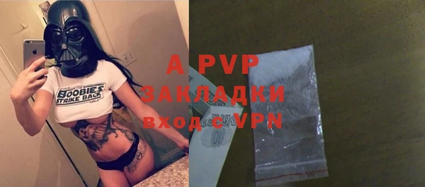 ПСИЛОЦИБИНОВЫЕ ГРИБЫ Бородино