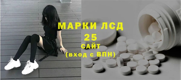 ПСИЛОЦИБИНОВЫЕ ГРИБЫ Бородино