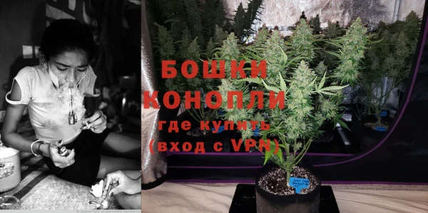 ПСИЛОЦИБИНОВЫЕ ГРИБЫ Бородино