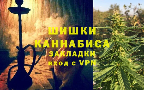 прущие грибы Бугульма