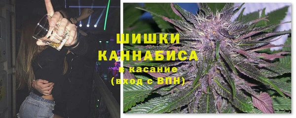 прущие грибы Бугульма