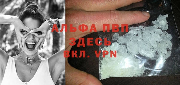 ПСИЛОЦИБИНОВЫЕ ГРИБЫ Бородино