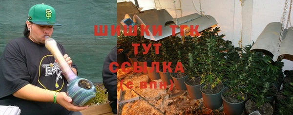 прущие грибы Бугульма
