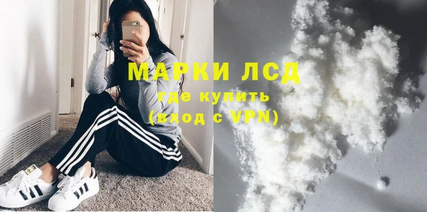 прущие грибы Бугульма