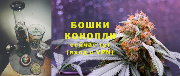 дурь Бронницы