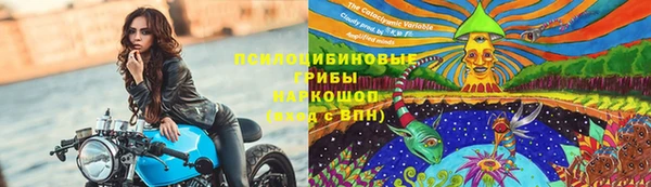 прущие грибы Бугульма