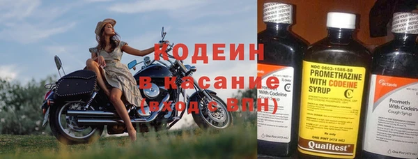 прущие грибы Бугульма